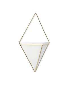 Umbra - Trigg Wall Display - Black Brass - Large